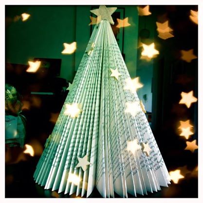 1511314_10151835109935823_1545625394_n