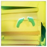 10923708_10152593014475823_6386176499845838675_n