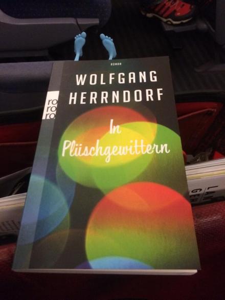 1486638_10152636807510823_2228432124006091059_n