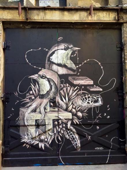 11045420_10152723396295823_8682597072480068319_n