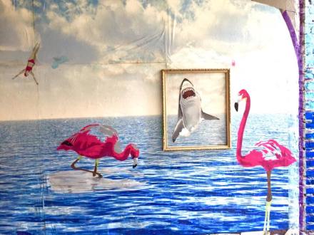 11046679_10152693933315823_8700741125814877733_n