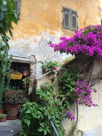 11707578_10152949220010823_1152229018936190397_n