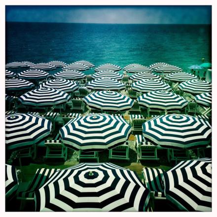 11261828_10152967223150823_6538585298460476596_n