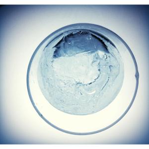 10169161_10152617925975823_1375492949982950856_n