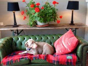 72624_10151288940935823_387081750_n