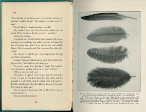 c8fcbc62-4e66-4352-ba4b-b35445b8f0db-2060x1581