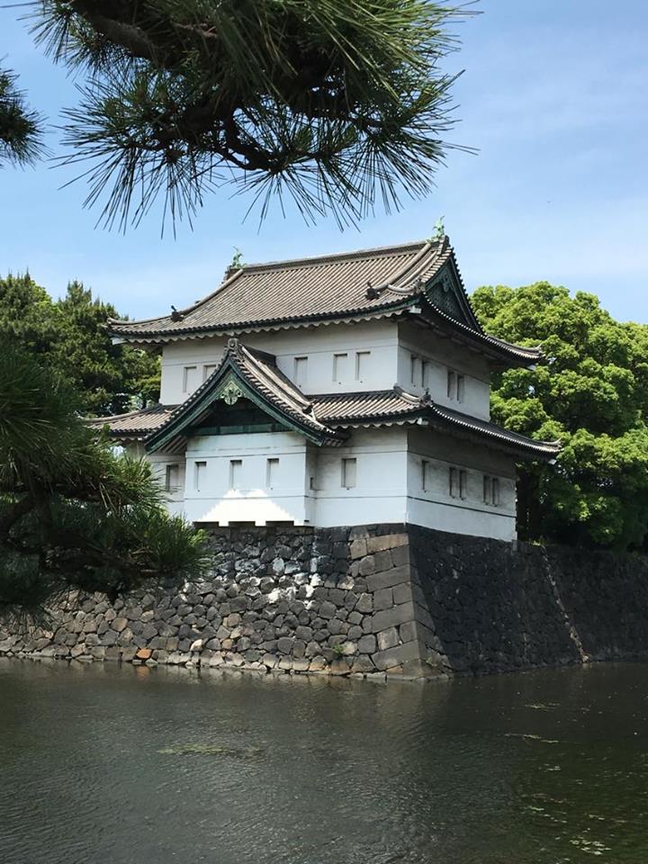 13250440_10153582651525823_1254693782_n