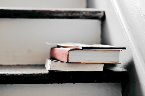 13592226_1024179404298730_4431763990602381230_n