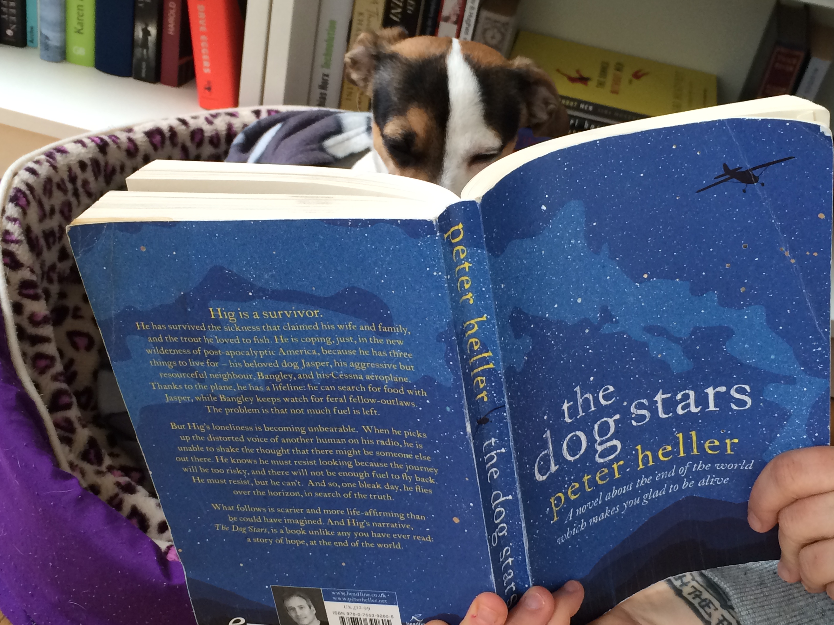 #Lithund:The Dog Stars – Peter Heller | Binge Reading & More