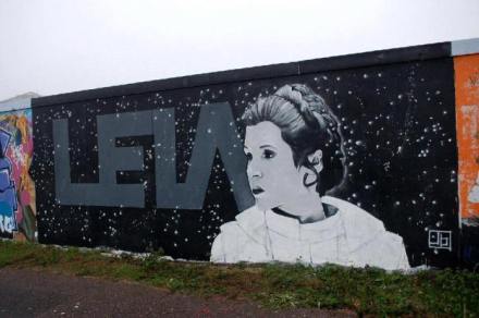 leia-1