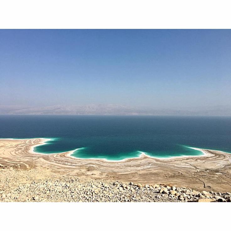 16640889_10154265199480823_8918461193424407321_n