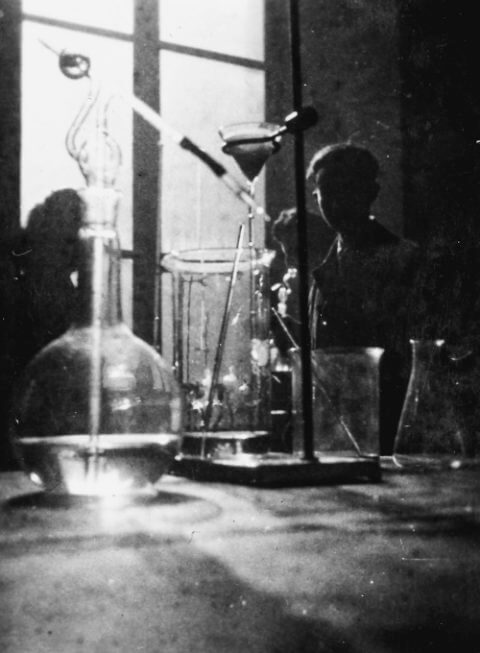 PrimoLeviArchives-e1476838042960