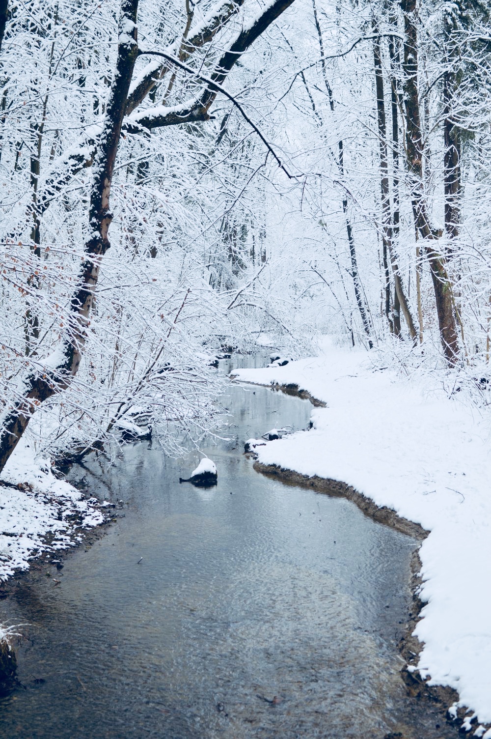 28061055_10211910672701696_927340663570465800_o