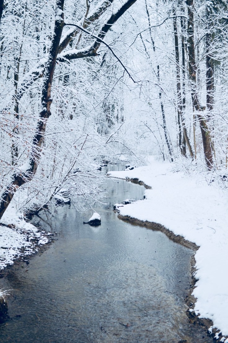 28061055_10211910672701696_927340663570465800_o