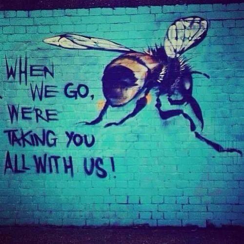 1907982_10204403239897559_6818145902192481097_n