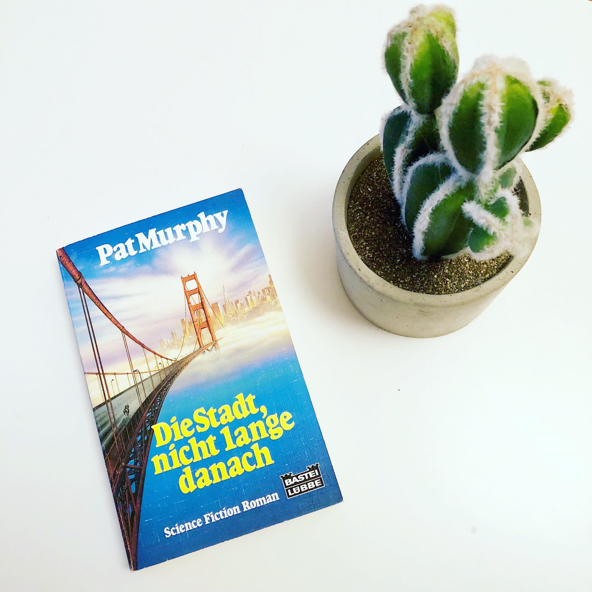 46792334_589651288177597_2554784063923683328_n