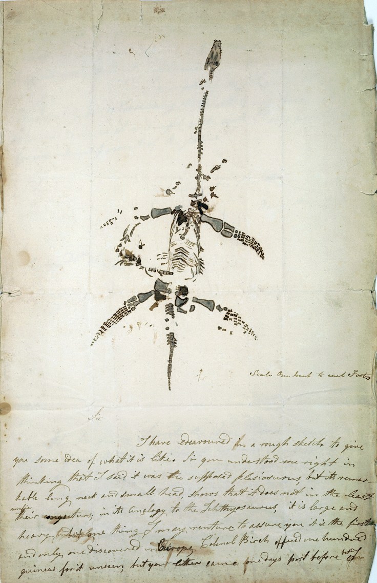 Mary_Anning_Plesiosaurus.jpg