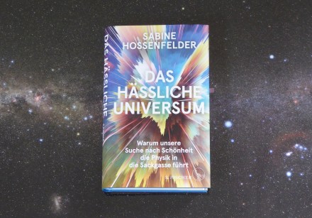 Hossenfelder_Universum