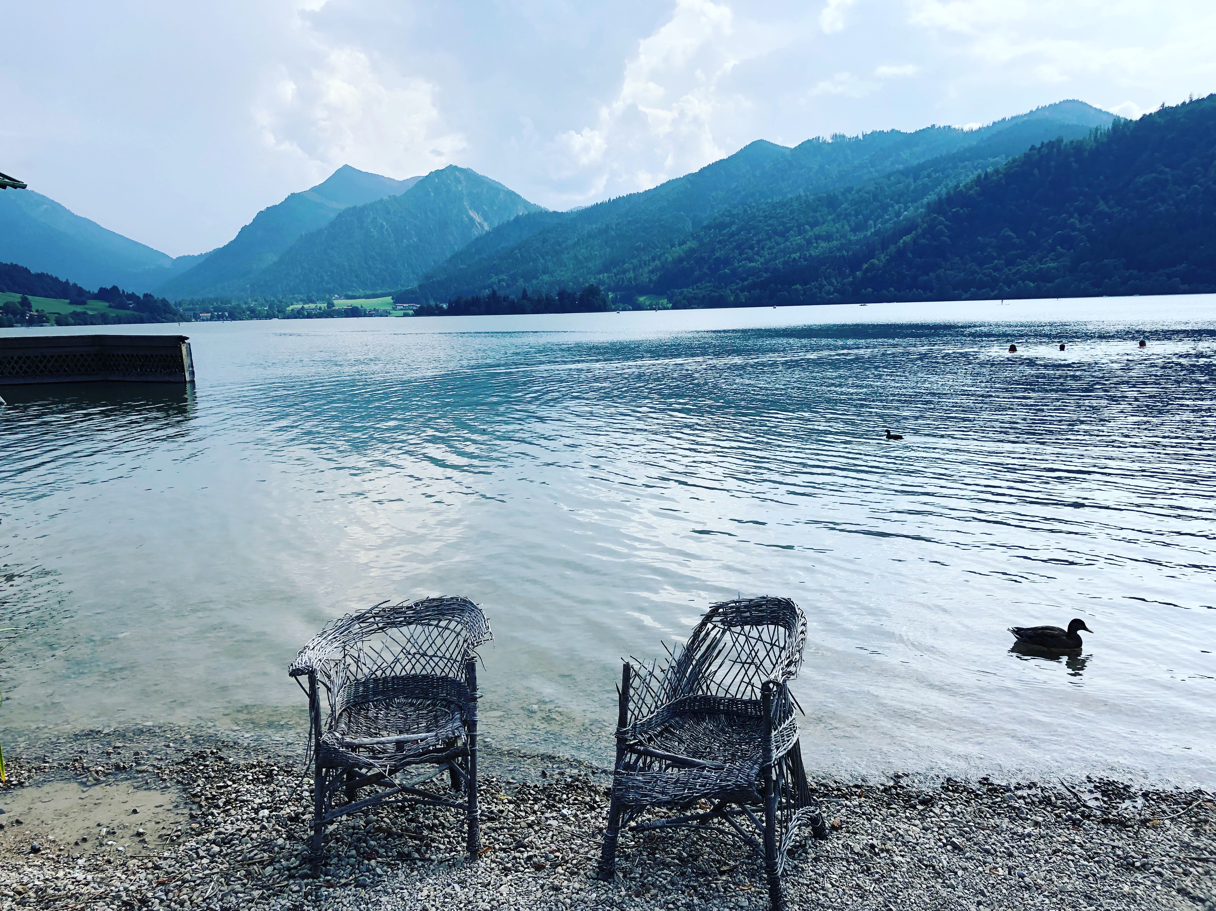 98CCBF1A-E010-4914-B680-F784EA8F3128