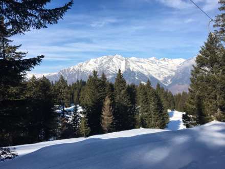 84324576_10217005836637610_1409560850108252160_n