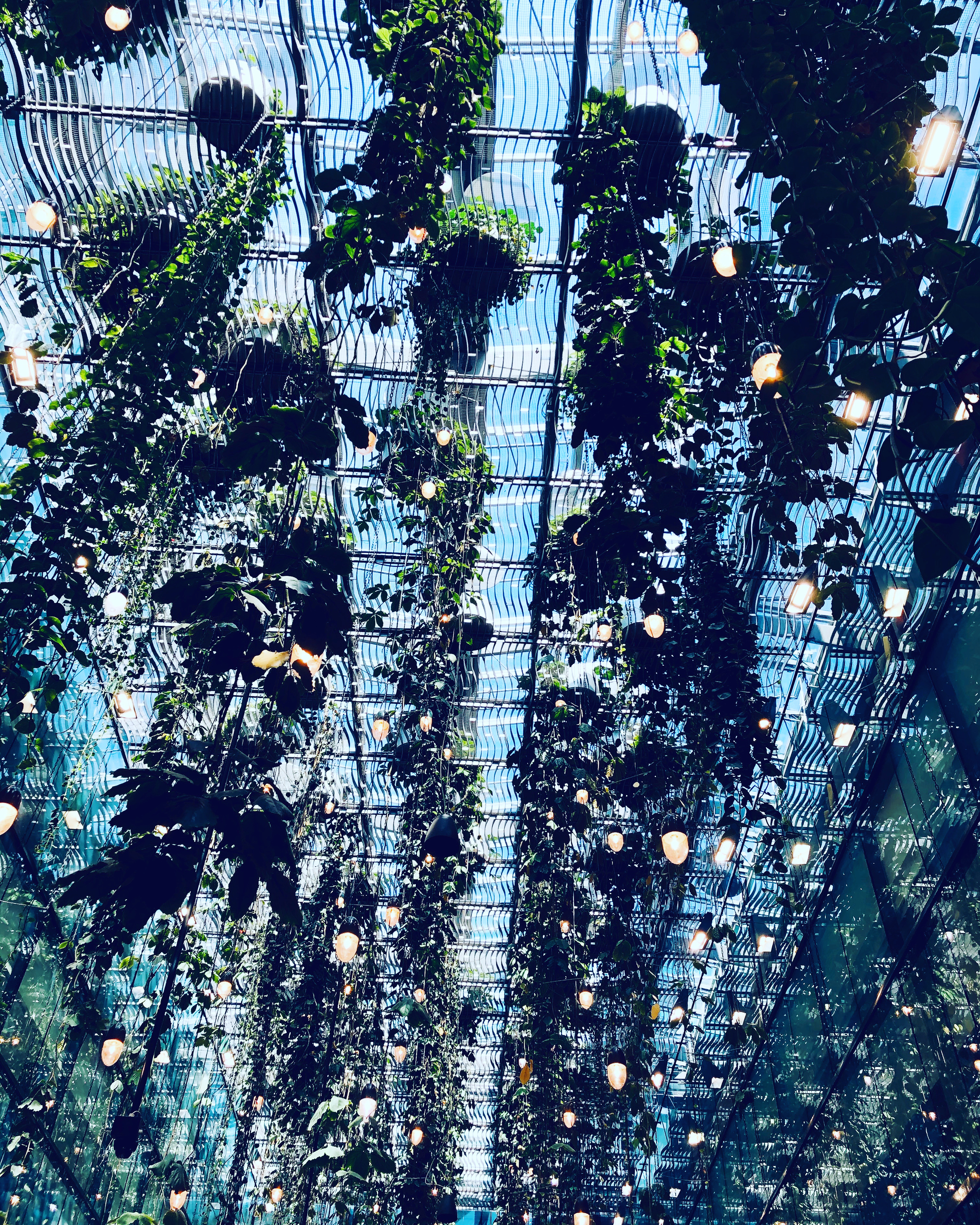 93C2CE36-DC07-496E-B7E7-18AA2377DE18