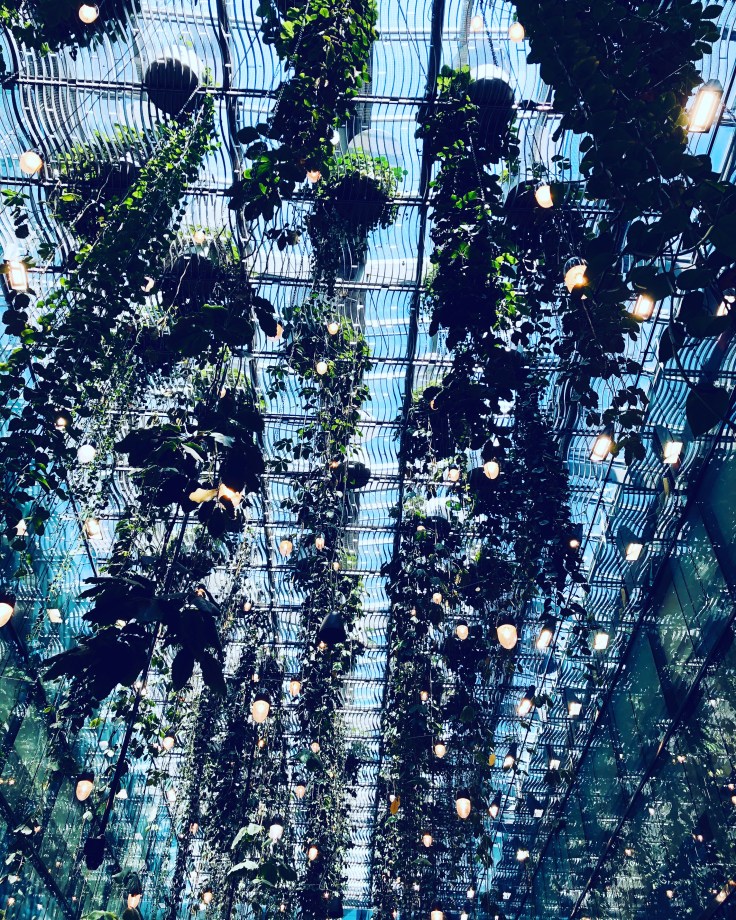 93C2CE36-DC07-496E-B7E7-18AA2377DE18