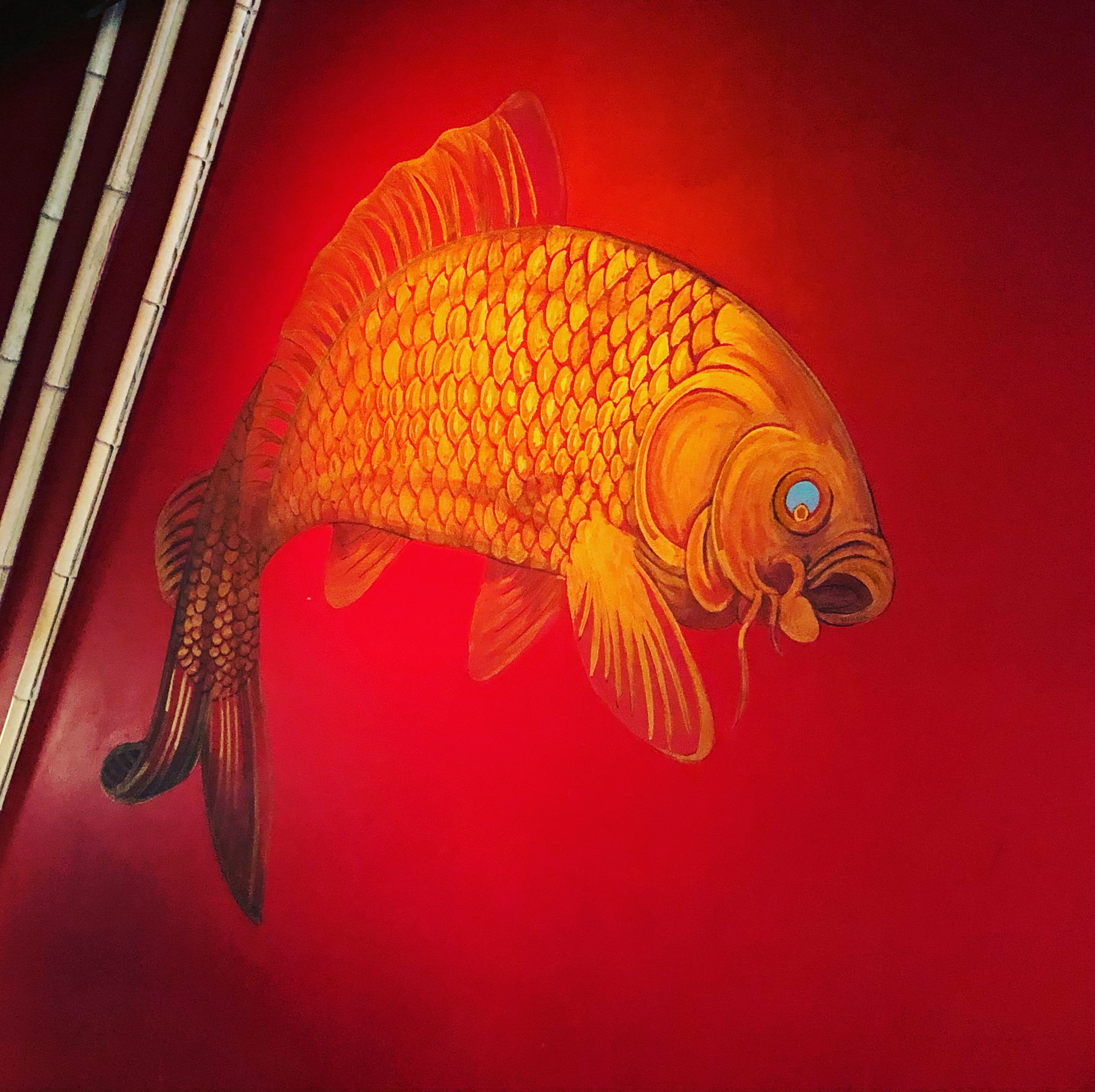 55D3FFEC-11D8-4F25-8CE7-5CCA9BF96E98